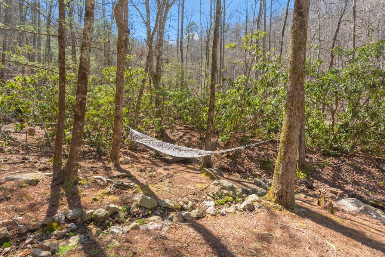 Вилла Bear Paw Trail Севьервилл Экстерьер фото